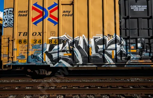 TBOX663484