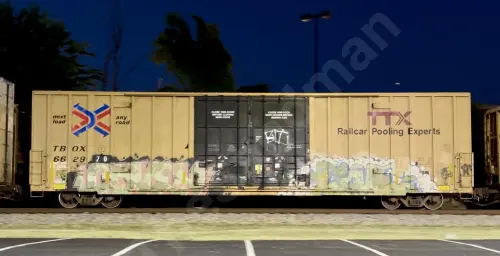 TBOX662970