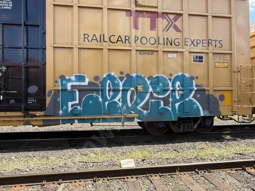 TBOX635239