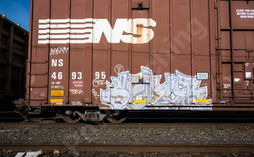 NS469395