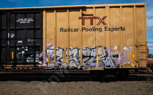 TBOX661913