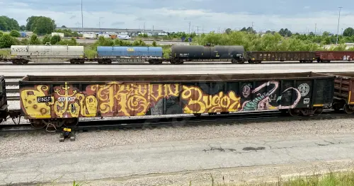 Train photo