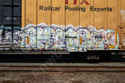 TBOX663710