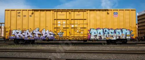 UP700110
