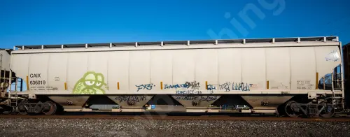 Train photo