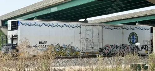 BNSF793677
