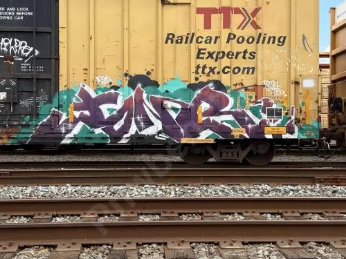 TBOX660558