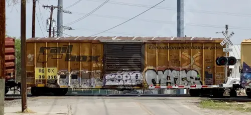 Train photo