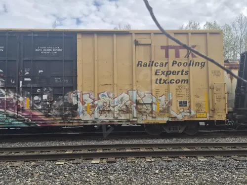 TBOX660874