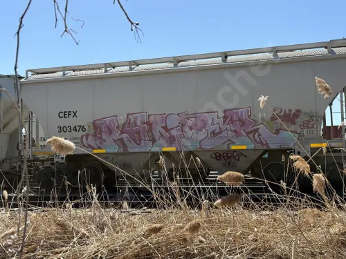 Train photo