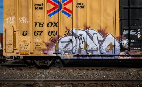 TBOX667033
