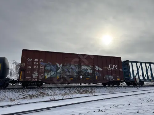 Train photo