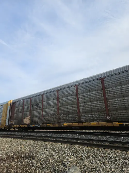 Train photo