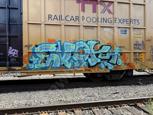 TBOX636113