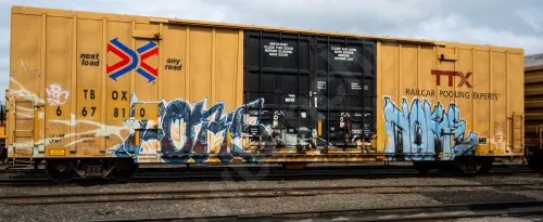 TBOX667810