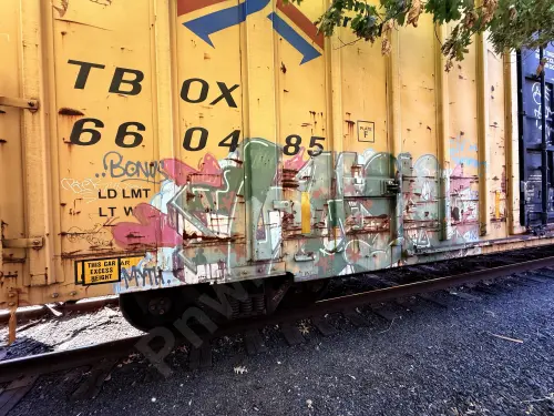 TBOX660485