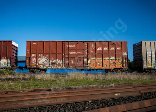 BNSF729285