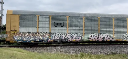 TTGX715907