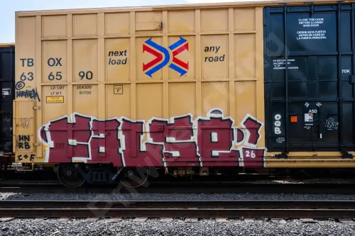 TBOX636590