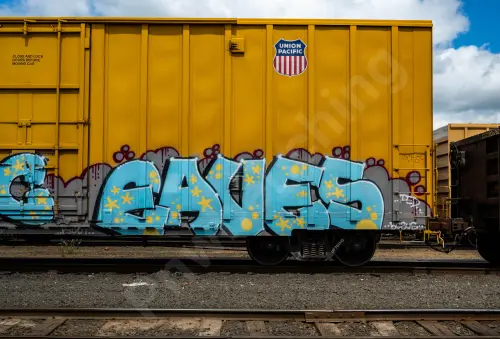 UP701313