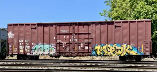 MTNR175310