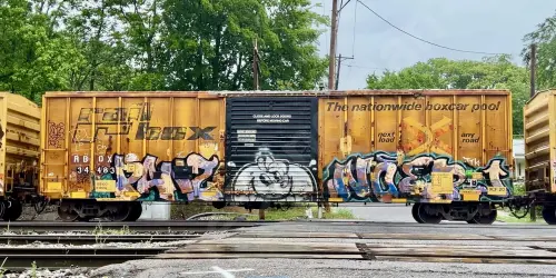 RBOX34483