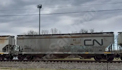 Train photo