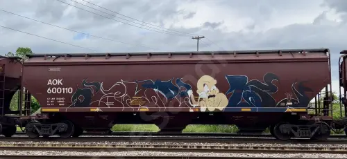 Train photo