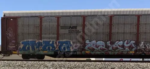 TTGX973919