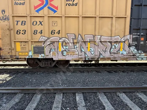 TBOX638464