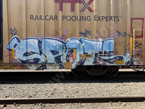 TBOX667971