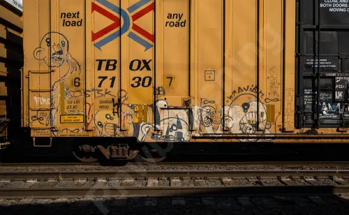 TBOX671307