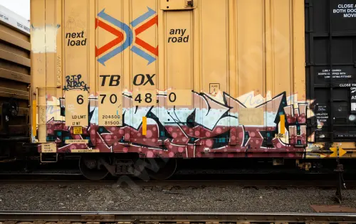 TBOX670480