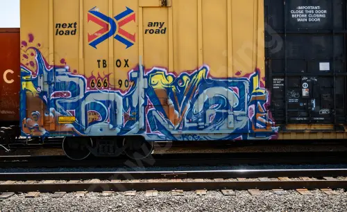 TBOX666902