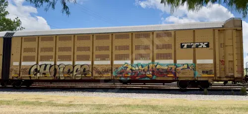 BTTX880149