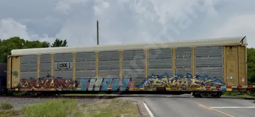 TTGX980141