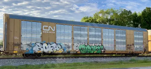 Train photo