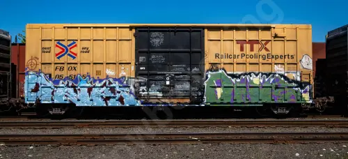 FBOX505515