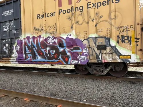 TBOX662543