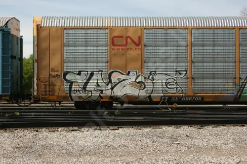 TTGX696705