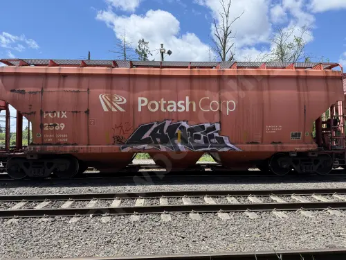 Train photo
