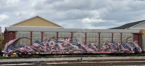 Train photo