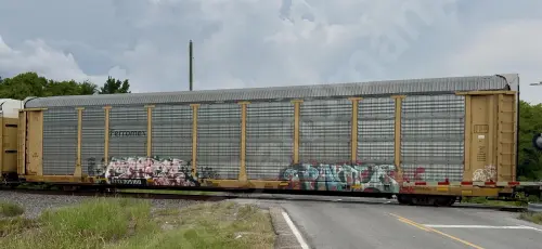 Train photo