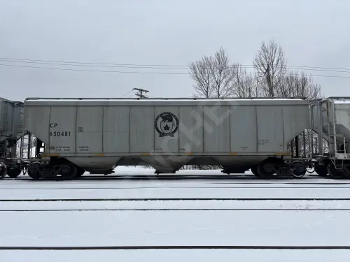 CP650481