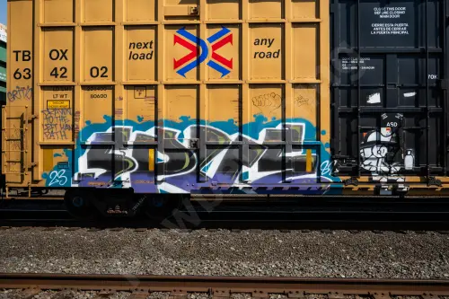 TBOX634202