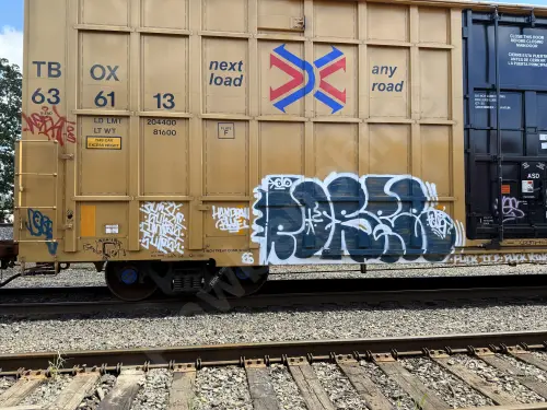 TBOX636113