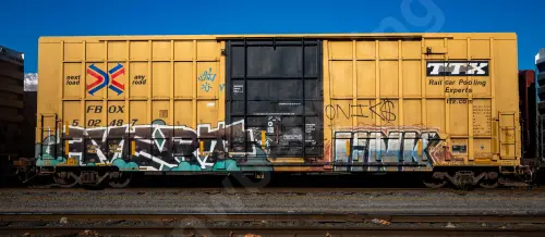 FBOX502487