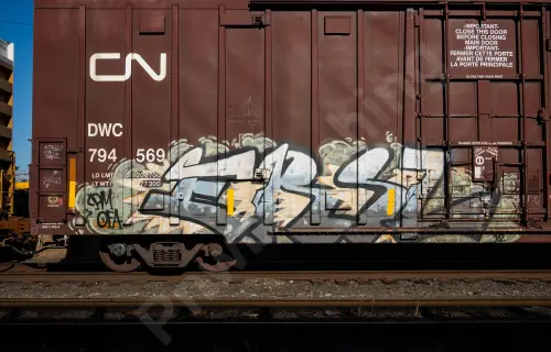 DWC794569