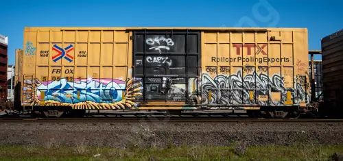 FBOX505821