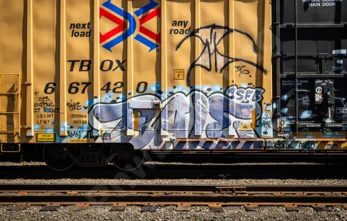 TBOX667420